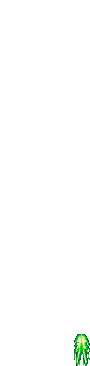 animation 12