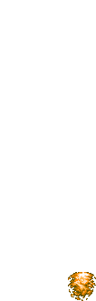 animation 08