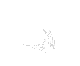 animation 02
