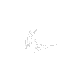 animation 03